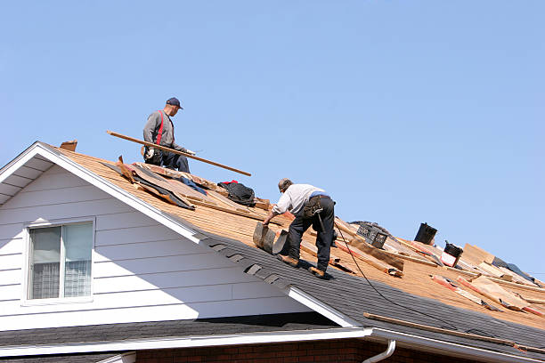 Skylights in Alliance, OH
